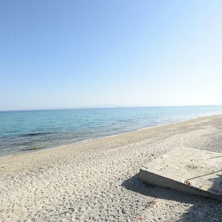 Seafront Palm * Chaniotis