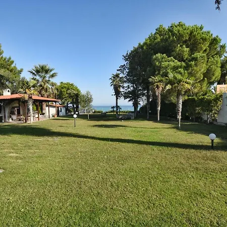 Seafront Palm *