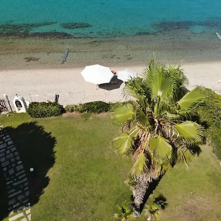 Seafront Palm